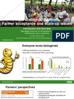 FAW Biological Control: Farmer Acceptance and Scale-Up Issues