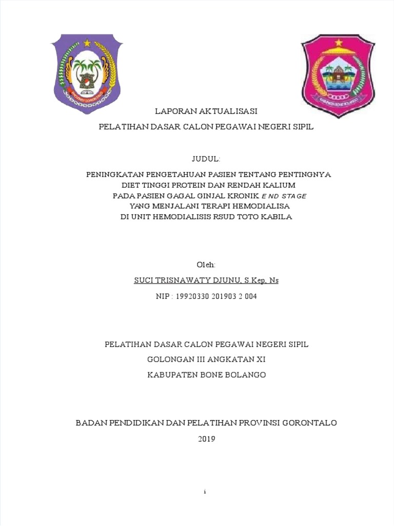 Diit Rendah Cairan Dan Kalium | PDF