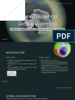 Ozone Layer and Global Warming