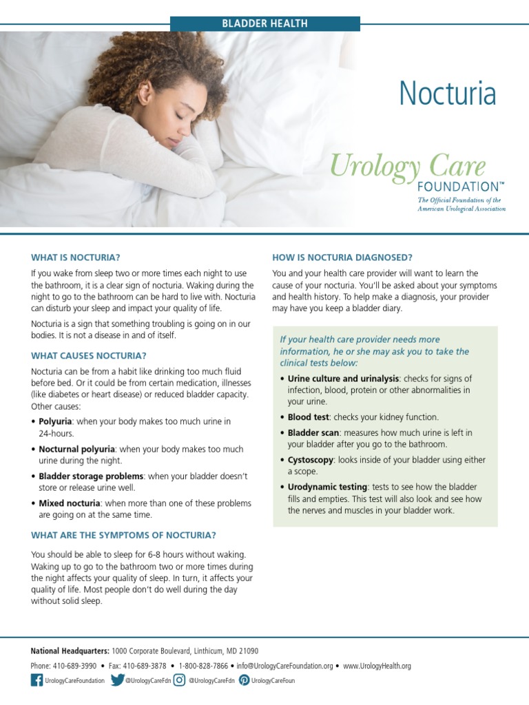 Nocturia Fact Sheet PDF Urology Diseases And Disorders