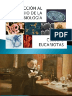 C2 - Luz - INTRODUCCIÓN AL ESTUDIO DE LA MICROBIOLOGÍA