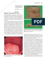 App in Sigmoid