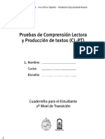 Prueba CL-PT NT2