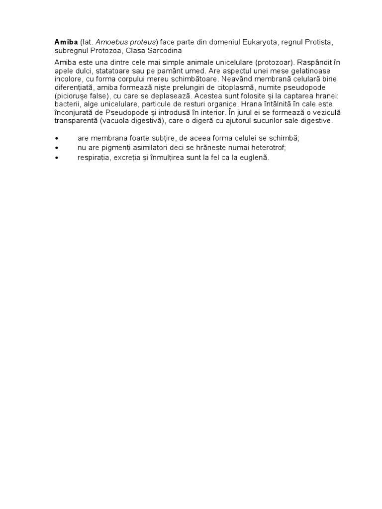 Amiba | PDF