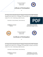 Certificate of Participation: Rojhelou J. Patac Porferio Q. Goc-Ong