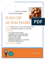 Encuesta Jugo de Achachairu-Preparacion y Evaluacion de Proyectos