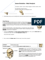 Gizmo HumanEvolution Skulls 1