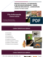 Filo Arthropoda 