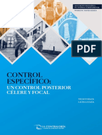 Control Especifico Un Control Posterior Celere y Focal