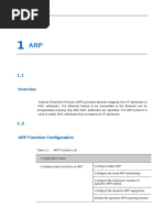 Maipu 3230 IP Protocol and Services