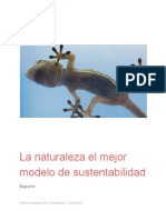 Modelos naturales clave biomimética