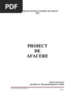 Plan De Afaceri