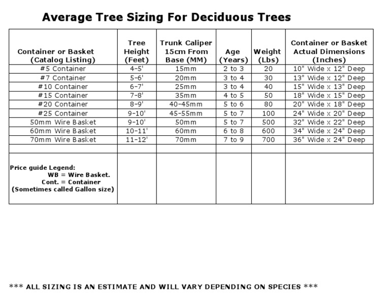 Deciduoustreesizingchart | PDF | Cooking, Food & Wine | Home & Garden