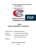 Monografia Celulas Procariota y Eucariota1