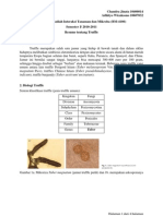 Download Truffle - Resume Matakuliah Interaksi Tanaman dan Mikroba - Chandra Jinata 10406014 dan Adhityo Wicaksono 10607032 by Adhityo Wicaksono Wahyujati SN49949166 doc pdf