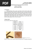 Download Truffle - Resume Matakuliah Interaksi Tanaman dan Mikroba - Chandra Jinata 10406014 dan Adhityo Wicaksono 10607032 by Adhityo Wicaksono Wahyujati SN49949166 doc pdf