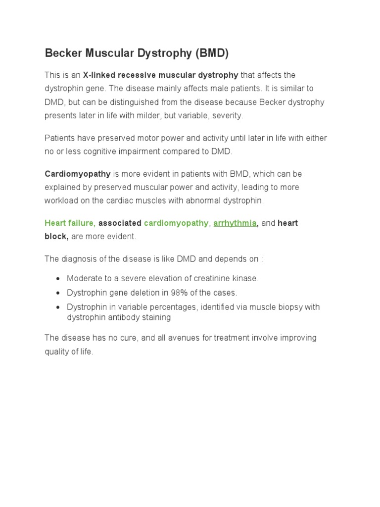 Becker Muscular Dystrophy