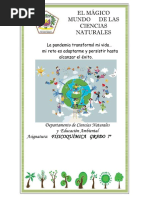 Guia Didactica Primer Periodo | PDF