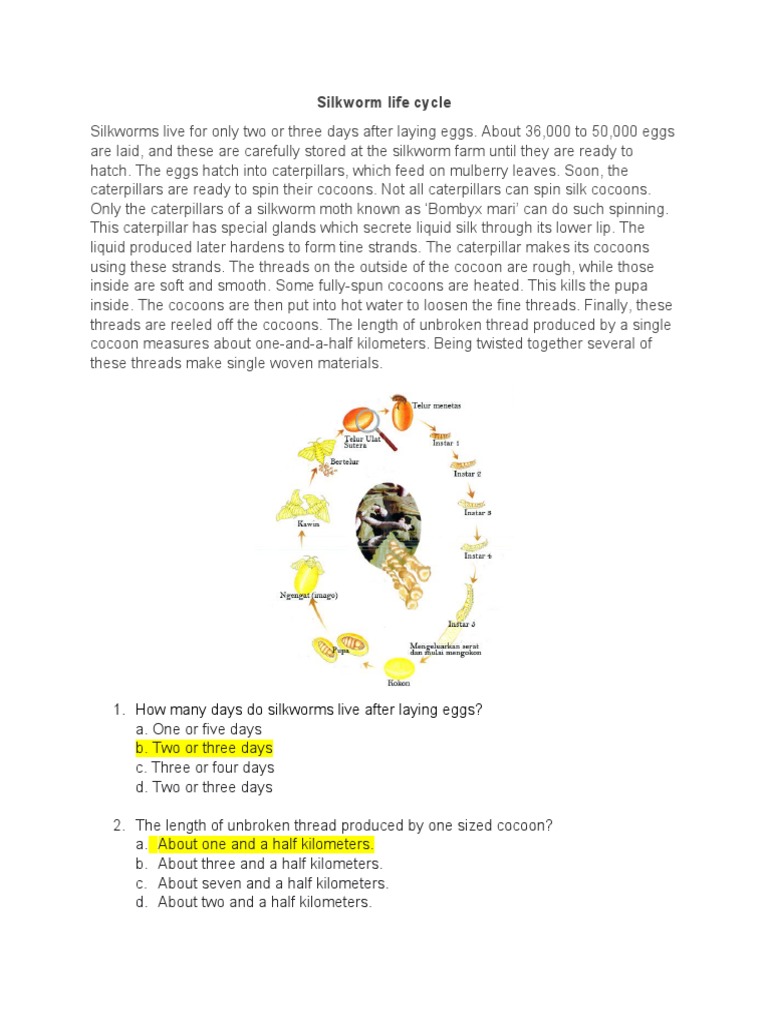 Silkworm Life Cycle 1. How Many Days Do Silkworms Live After Laying
