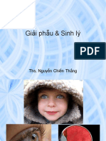 Giai-Phau-Sinh-Ly English