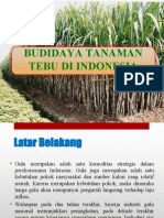 Budidaya Tebu (LB, Tujuan, Permasalahan)