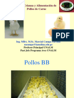 00 Clase Estudio Economico Pollos Carne