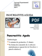 Pancreatitis Aguda2008