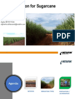 Drip Irrigated Sugarcane - PTPN 2020-AAD-AU-3302