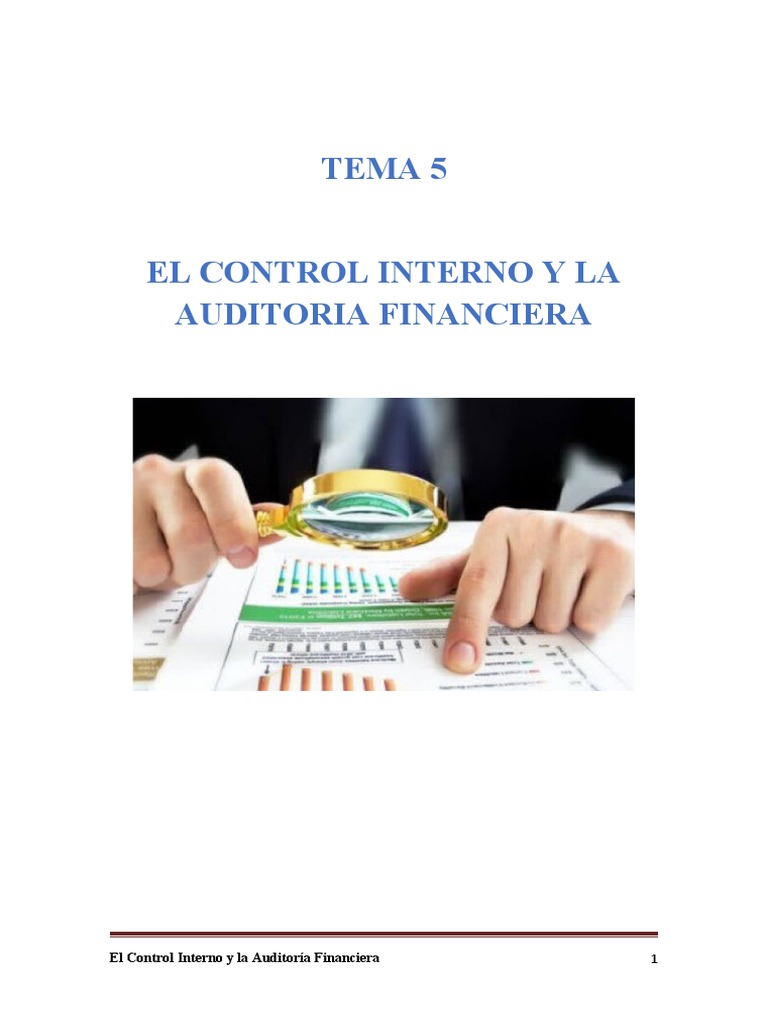 Control Interno y Auditoría Financiera | PDF | Auditoría | Cuestionario