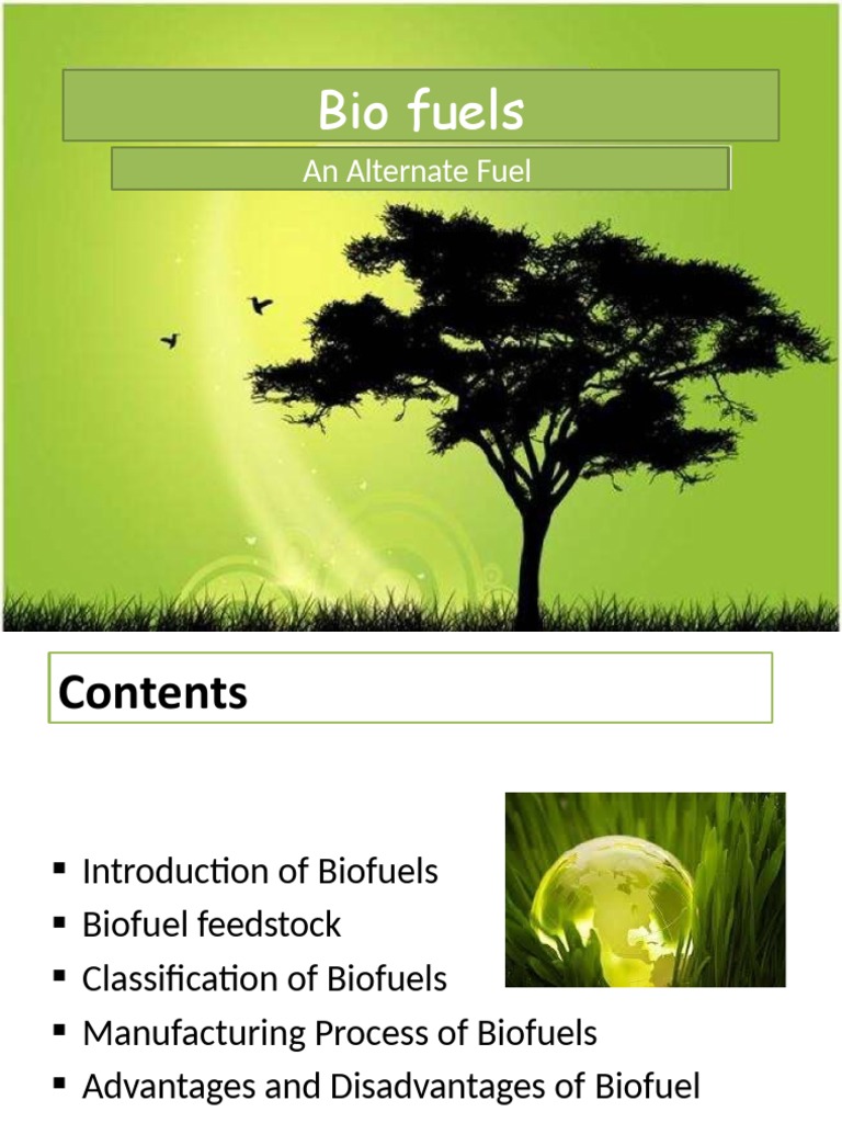 Comprehensive Guide to Biofuels | PDF | Biofuel | Anaerobic Digestion