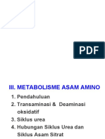 Metabolismeasamamino 121226115648 Phpapp02