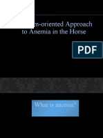 Problem-Oriented Approach To Anemia in The Horse