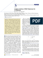 Innate Reverse Transcriptase Activity of DNA Polymerase For Isothermal RNA Direct Detection