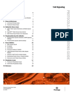 Cell Signaling: Protocols & Applications Guide Rev. 9/06