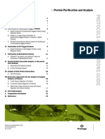 11protein Purification and Analysis