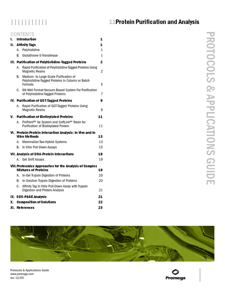 11protein Purification and Analysis | PDF | Protein Purification | Proteins