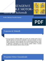 Teoria de Schmidt aprendizagem motora