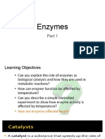 Part 1 Enzymes