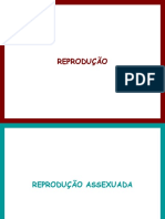 PP-05-U6-Reprodução