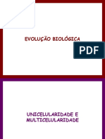 PP-07-Da Unicelularidade À Multicelularidade