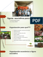 Figuras Asociativas