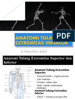 Anatomi Tulang Extremitas Inferior