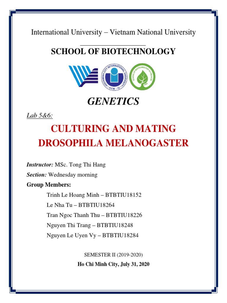 Lab Report 56 PDF Drosophila Melanogaster Promoter