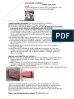 Archivo Sobre Toxicidad y Contaminación Con Metales