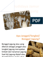 Presentation Budidaya Jamur Bonggol Jagung