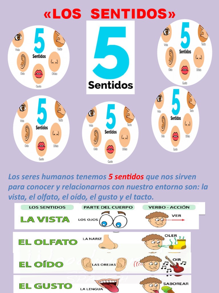 Los Sentidos Pdf
