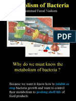 Metabolism of Bacteria