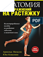 Анатомия Упразнений На Растяжку ( PDFDrive )