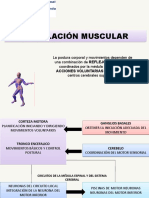 Regulación Muscular1