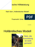 Holl_Mod